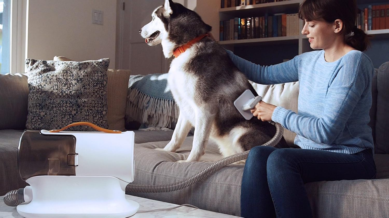 Comprehensive pet grooming vacuum for dogs and cats with advanced hair removal technology
