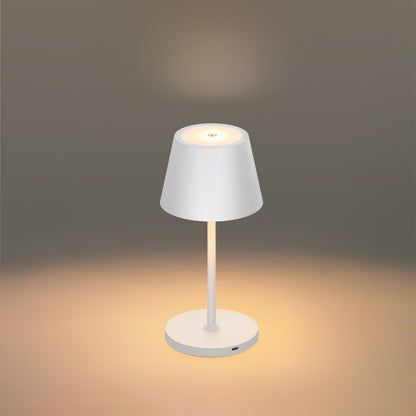 Small-scale portable LED lamp providing efficient and convenient lighting in a compact form