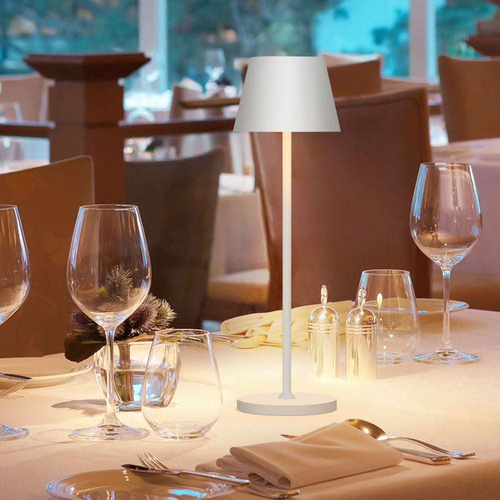 Lightweight LED lamp with portable design for flexible and mobile lighting needs
