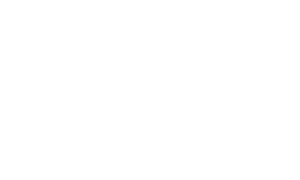 BlueAcorn